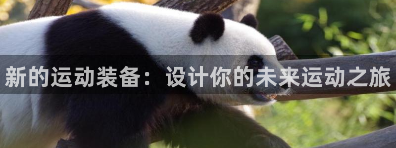 南宫大舞台官网下载平台是正规平台吗：新的运动装备：设计你的未