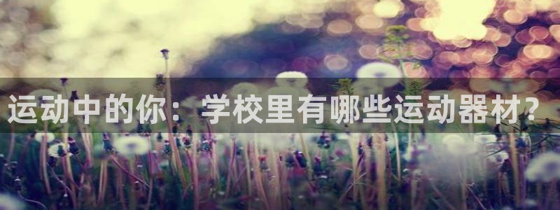 南宫大舞台官网下载招商：运动中的你：学校里有哪些运动器材？