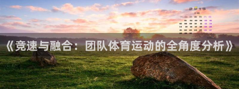 三亿体育登录：《竞速与融合：团队体育运动的全角度分析》