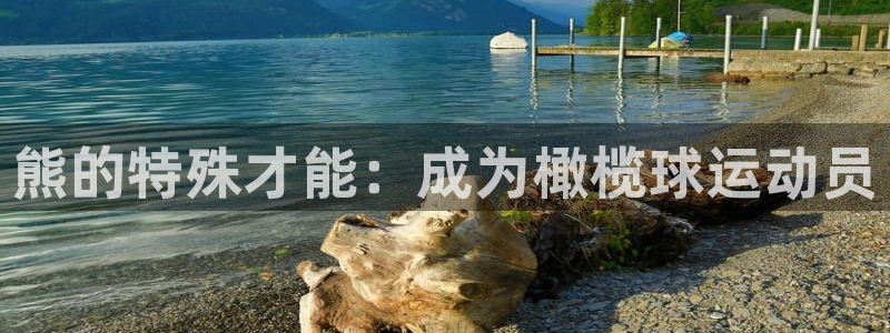 三亿体育网：熊的特殊才能：成为橄榄球运动员