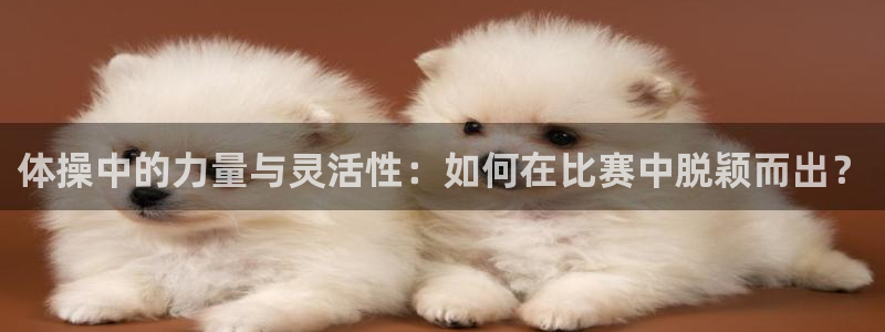 三亿体育：体操中的力量与灵活性：如何在比赛中脱颖而出？
