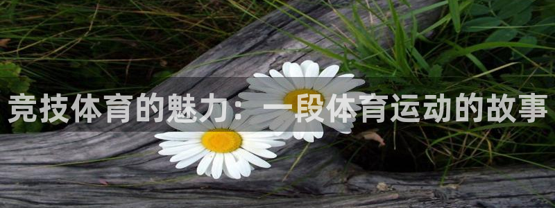 三亿体育登录：竞技体育的魅力：一段体育运动的故事