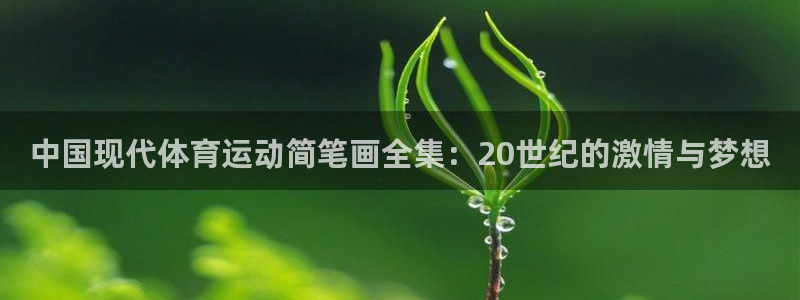 三亿体育登录：中国现代体育运动简笔画全集：20世纪的激情与梦想