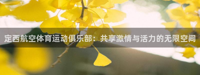 三亿体育网：定西航空体育运动俱乐部：共享激情与活力的无限空间