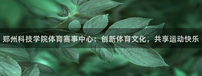 三亿体育登录：郑州科技学院体育赛事中心：创新体育文化，共享运动快乐