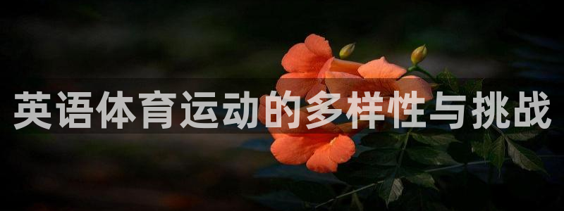 三亿体育网：英语体育运动的多样性与挑战
