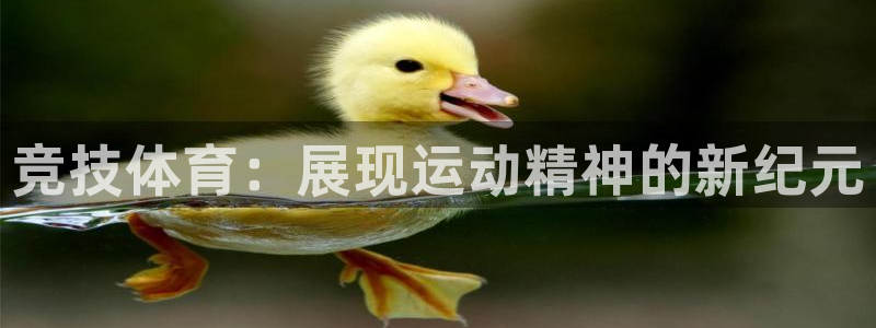 三亿体育网：竞技体育：展现运动精神的新纪元